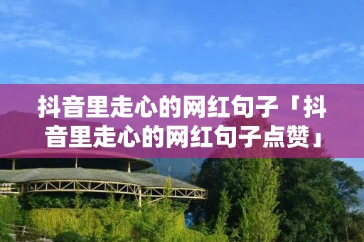 抖音里走心的网红句子「抖音里走心的网红句子点赞」