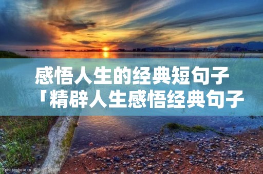 感悟人生的经典短句子「精辟人生感悟经典句子」