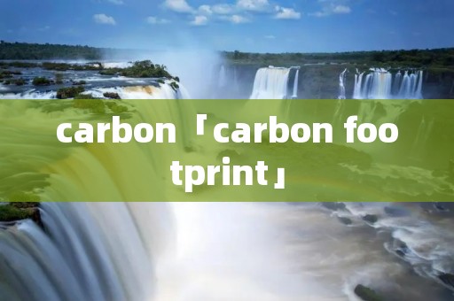 carbon「carbon footprint」