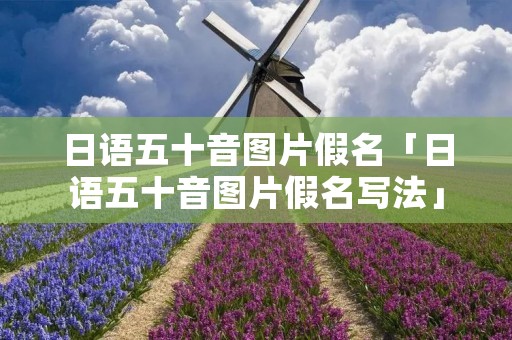 日语五十音图片假名「日语五十音图片假名写法」