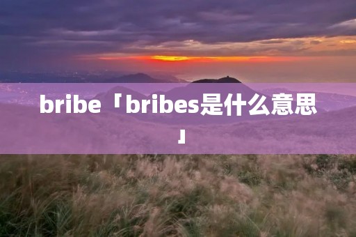bribe「bribes是什么意思」