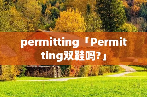 permitting「Permitting双鞋吗?」