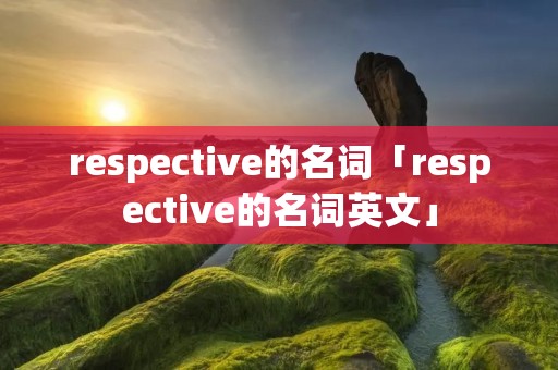 respective的名词「respective的名词英文」