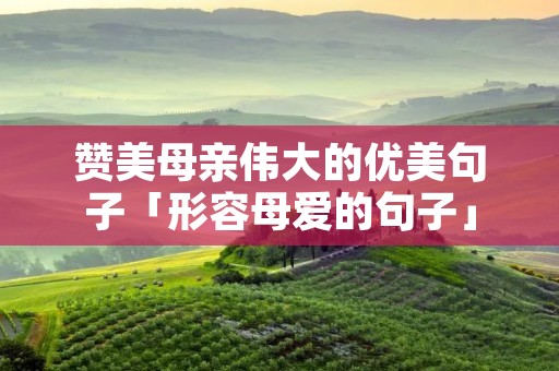 赞美母亲伟大的优美句子「形容母爱的句子」