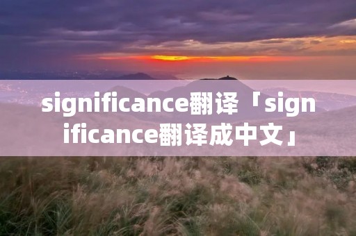 significance翻译「significance翻译成中文」