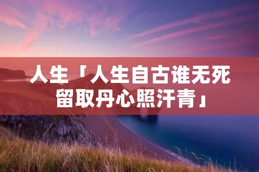人生「人生自古谁无死留取丹心照汗青」