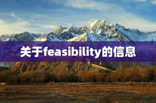 关于feasibility的信息