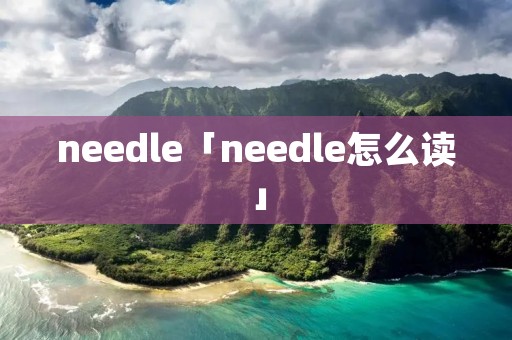 needle「needle怎么读」