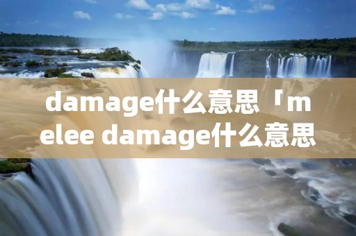 damage什么意思「melee damage什么意思」