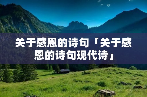 关于感恩的诗句「关于感恩的诗句现代诗」