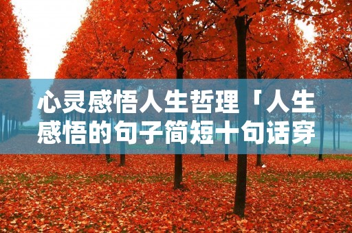 心灵感悟人生哲理「人生感悟的句子简短十句话穿透人心」