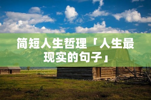 简短人生哲理「人生最现实的句子」