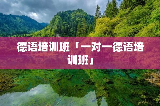 德语培训班「一对一德语培训班」