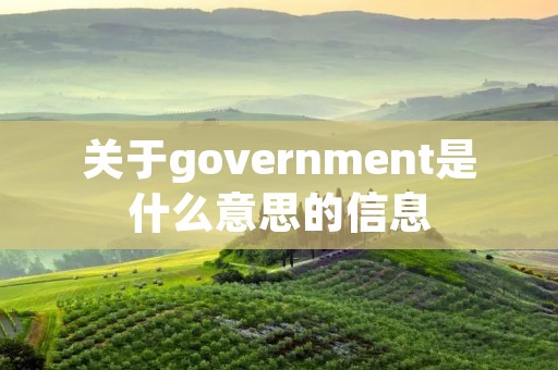 关于government是什么意思的信息