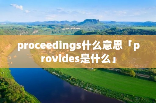 proceedings什么意思「provides是什么」