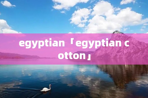 egyptian「egyptian cotton」