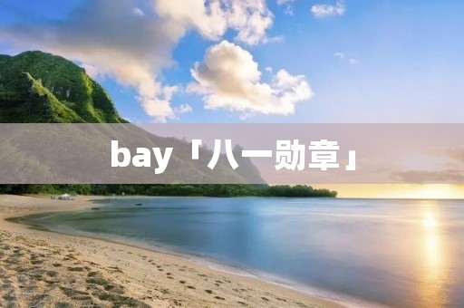 bay「八一勋章」