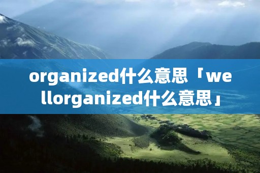 organized什么意思「wellorganized什么意思」