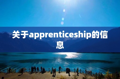 关于apprenticeship的信息