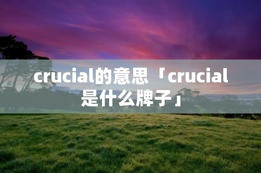 crucial的意思「crucial是什么牌子」