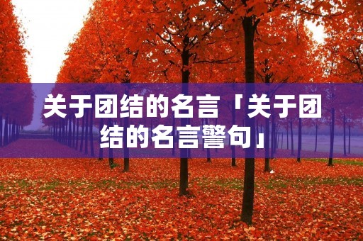 关于团结的名言「关于团结的名言警句」