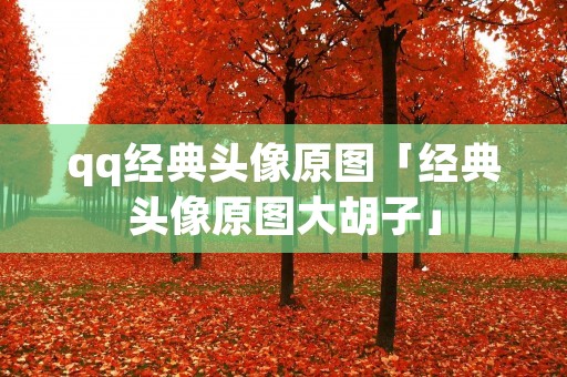 qq经典头像原图「经典头像原图大胡子」