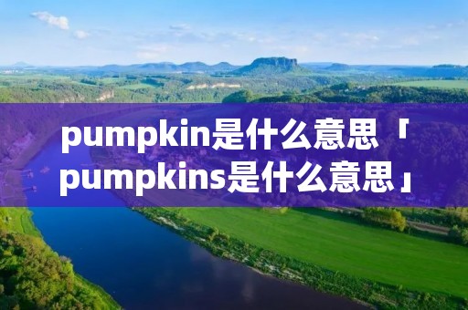 pumpkin是什么意思「pumpkins是什么意思」 pumpkin是什么意思「pumpkins是什么意思」