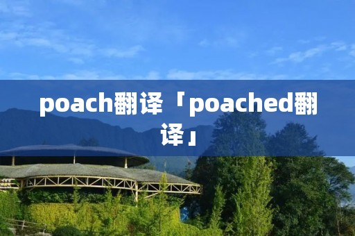 poach翻译「poached翻译」