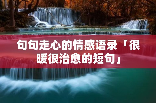 句句走心的情感语录「很暖很治愈的短句」