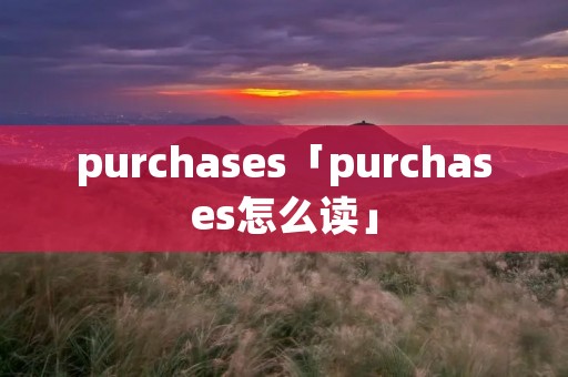 purchases「purchases怎么读」