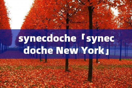 synecdoche「synecdoche New York」