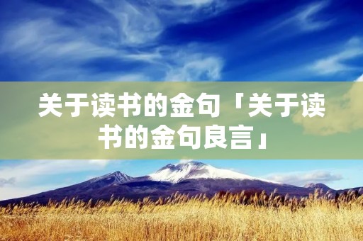 关于读书的金句「关于读书的金句良言」