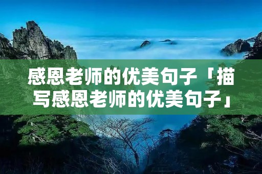 感恩老师的优美句子「描写感恩老师的优美句子」
