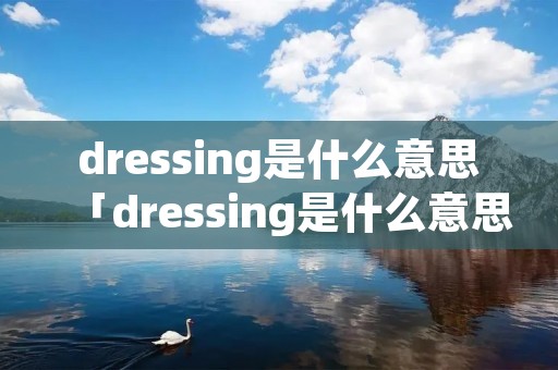 dressing是什么意思「dressing是什么意思英语翻译」 dressing是什么意思「dressing是什么意思英语翻译」
