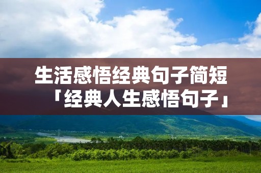 生活感悟经典句子简短「经典人生感悟句子」