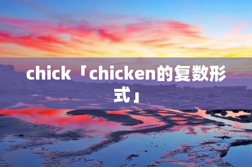 chick「chicken的复数形式」