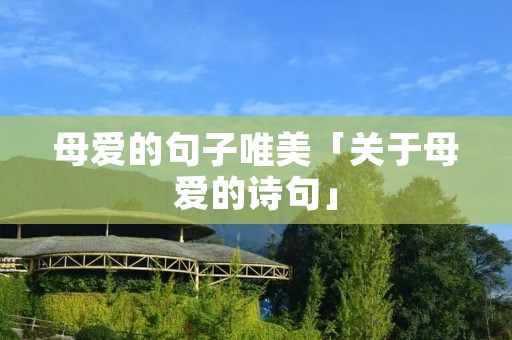 母爱的句子唯美「关于母爱的诗句」