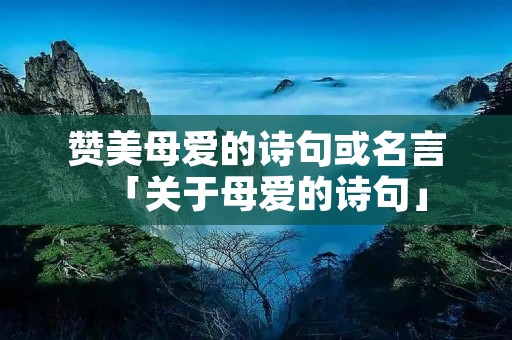 赞美母爱的诗句或名言「关于母爱的诗句」