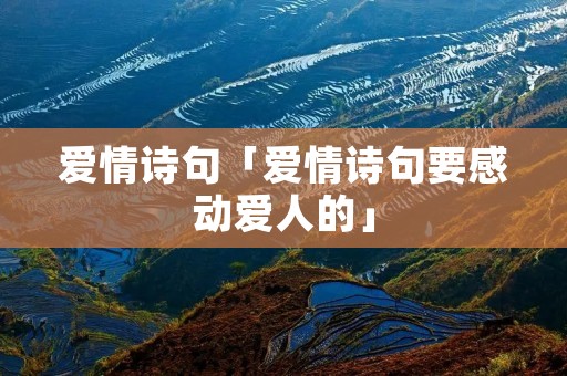 爱情诗句「爱情诗句要感动爱人的」