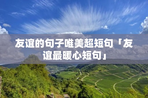 友谊的句子唯美超短句「友谊最暖心短句」