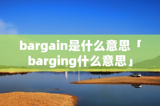 bargain是什么意思「barging什么意思」
