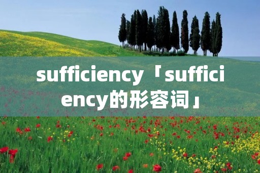 sufficiency「sufficiency的形容词」 sufficiency「sufficiency的形容词」