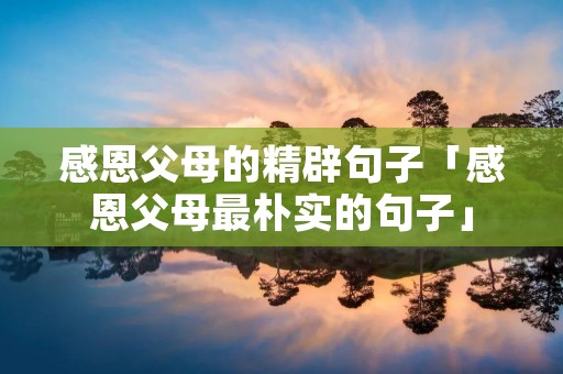感恩父母的精辟句子「感恩父母最朴实的句子」