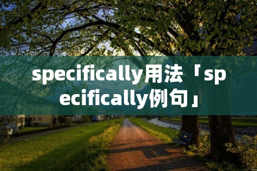 specifically用法「specifically例句」