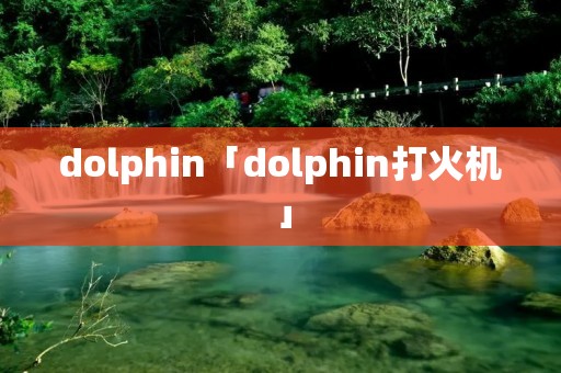 dolphin「dolphin打火机」