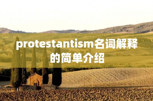 protestantism名词解释的简单介绍