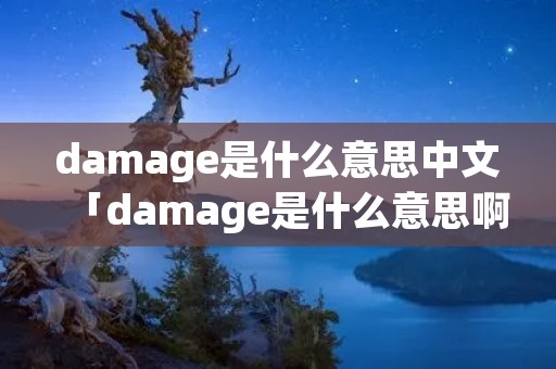 damage是什么意思中文「damage是什么意思啊」