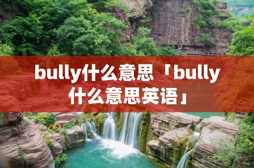 bully什么意思「bully什么意思英语」