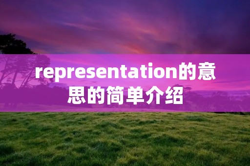 representation的意思的简单介绍