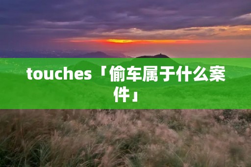 touches「偷车属于什么案件」